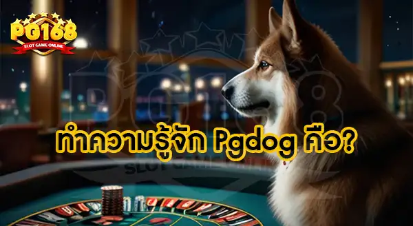 ทำความรู้จักpgdog