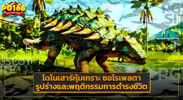 ฟอสซิล ซอโรเพลตา